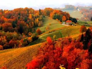 1024 X 768 Autumn In Dilijan Armenia