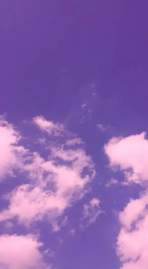 يوم مثالي كالصورة