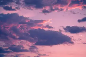 استمتع باللحظة الهادئة