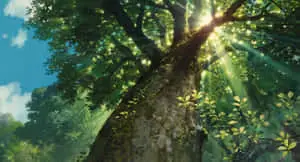 Anime Forest Tree