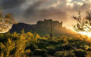 Desert Scenery in Arizona 