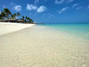 Aruba Beach Clear Ocean Pictures