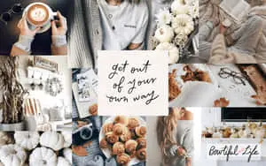 White Autumn Aesthetic Collage