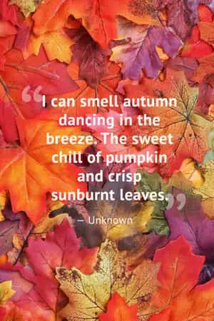 "Welcome the colours of Autumn"