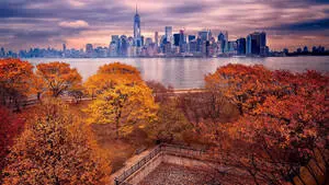 Autumn Trees Ellis Island