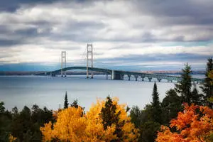 Autumn Trees Near Mackinac Bridge