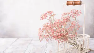 Baby Pink Aesthetic Flower Decoration