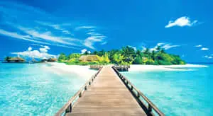 Wooden Pier beach Themed Background
