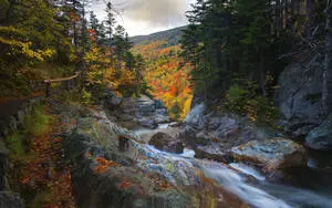 Beautiful Landscape Flowing River