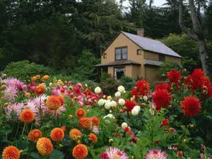 Beautiful Landscape House Floral Garden