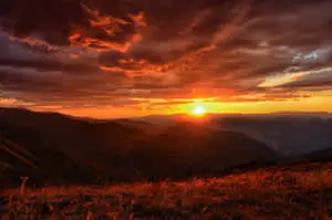 Enjoy the serene beauty of nature 