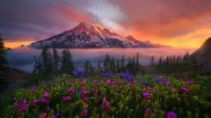 Enjoy the sights of a tranquil and beautiful nature 