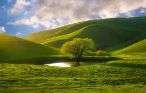صور طبيعية جميلة