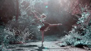Beautiful Professional Ballet Dancer Inspiration