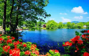 Beautiful Scenery Desktop Flower Garden River