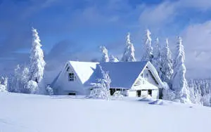 Enjoy a beautiful view of nature with a peaceful snowy landscape.