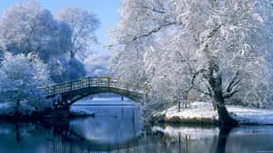 Best Desktop PC Background Park Bridge On Winter Scenery