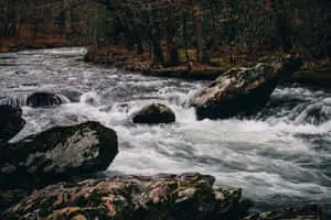 Best Nature Background Of River Rapids