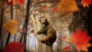"Watching the Autumnal Colors Change"