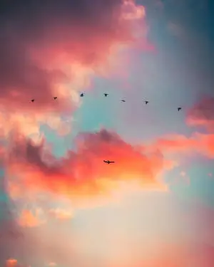 Birds Cloud iPhone 