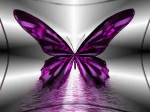 Black Butterfly With Large Purple Spots