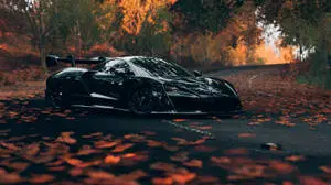 Black Sports Cars In Autumn