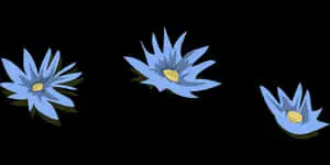 رسم توضيحي لزنابق الماء الزرقاء
