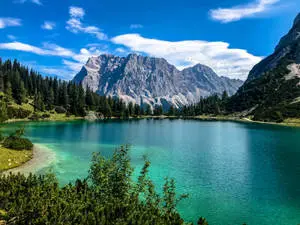 Bluish Green Lake With Trees