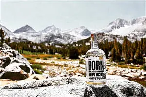 Born And Bred Mountain View