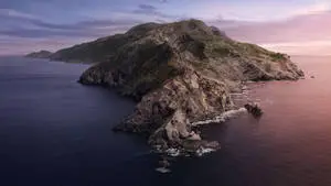 California's Channel Island 