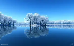 Caption: Serene Winter Landscape 