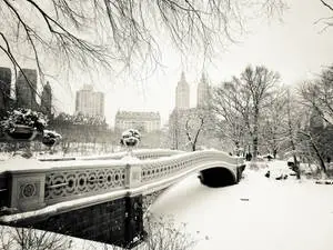Central Park Bridge New York Black And White