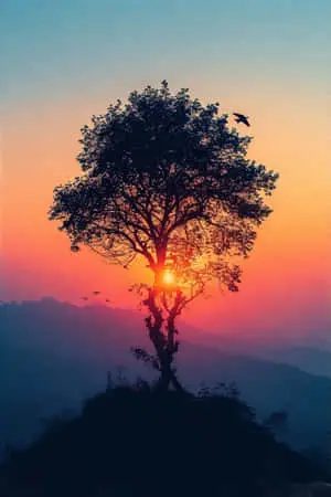Cinematic Dusk Lone Tree at Sunset 4k