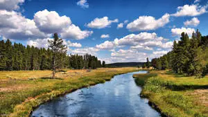Cloudy Sky River View