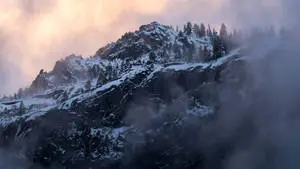 Cold and Foggy Winter Mountain Landscape