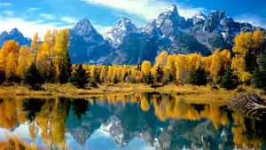 Cool Nature Winter Mountains