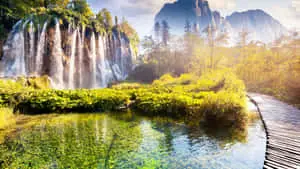 Croatia Aquatic Plants