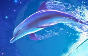 Cute Dolphin Digital Painting