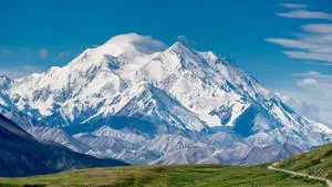 Denali Landscape