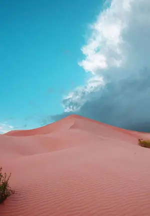 آيباد الصحراء 2021