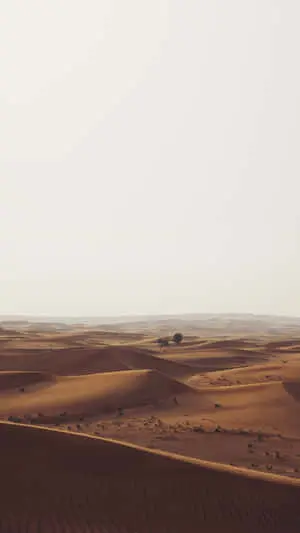 صحراء فارغة لهاتف آيفون