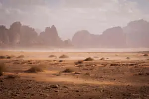 The Majestic Beauty of the Desert