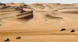 "Welcome to the Desert!"