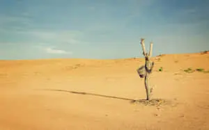 Stunning view of vast desert landscape