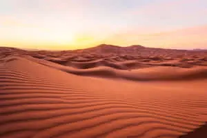 Dreaming of a desert oasis 