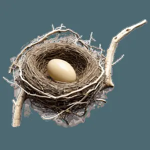 Detailed Bird Nest PNG 83