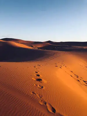 Take the road less travelled through the desert