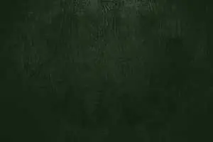 نسيج جلد الغابة الخضراء