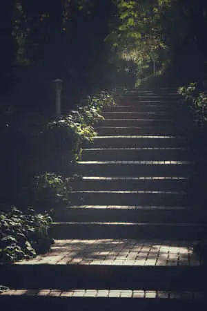 Forest Tile Steps