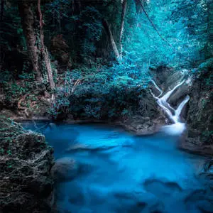 Forest Waterfall Fantasy 